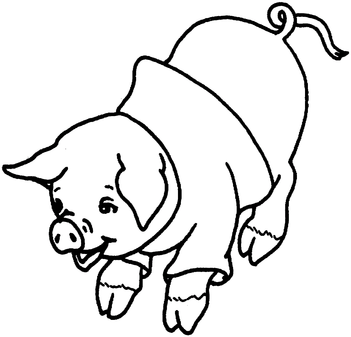 animal coloring pages pig