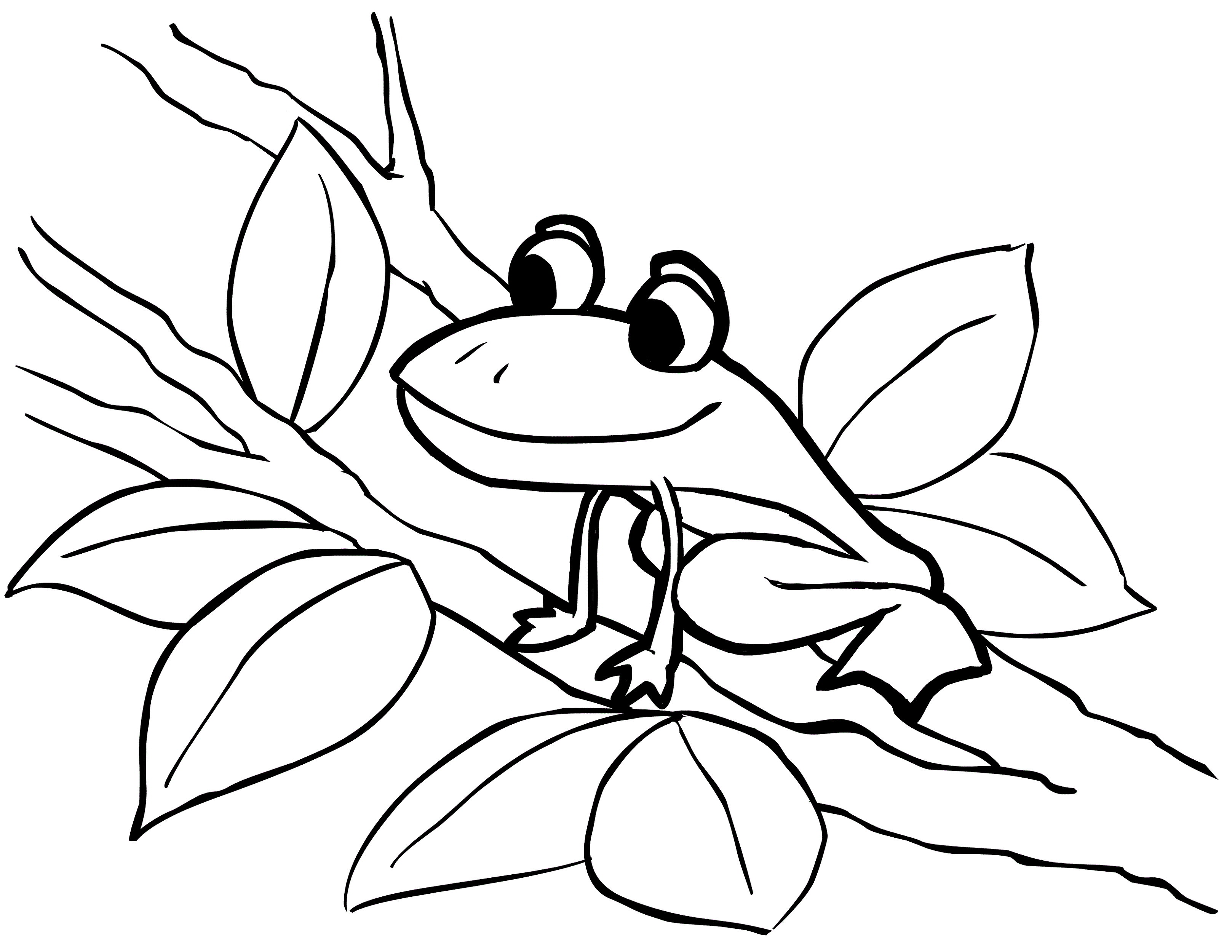 coloring pages for kids frog