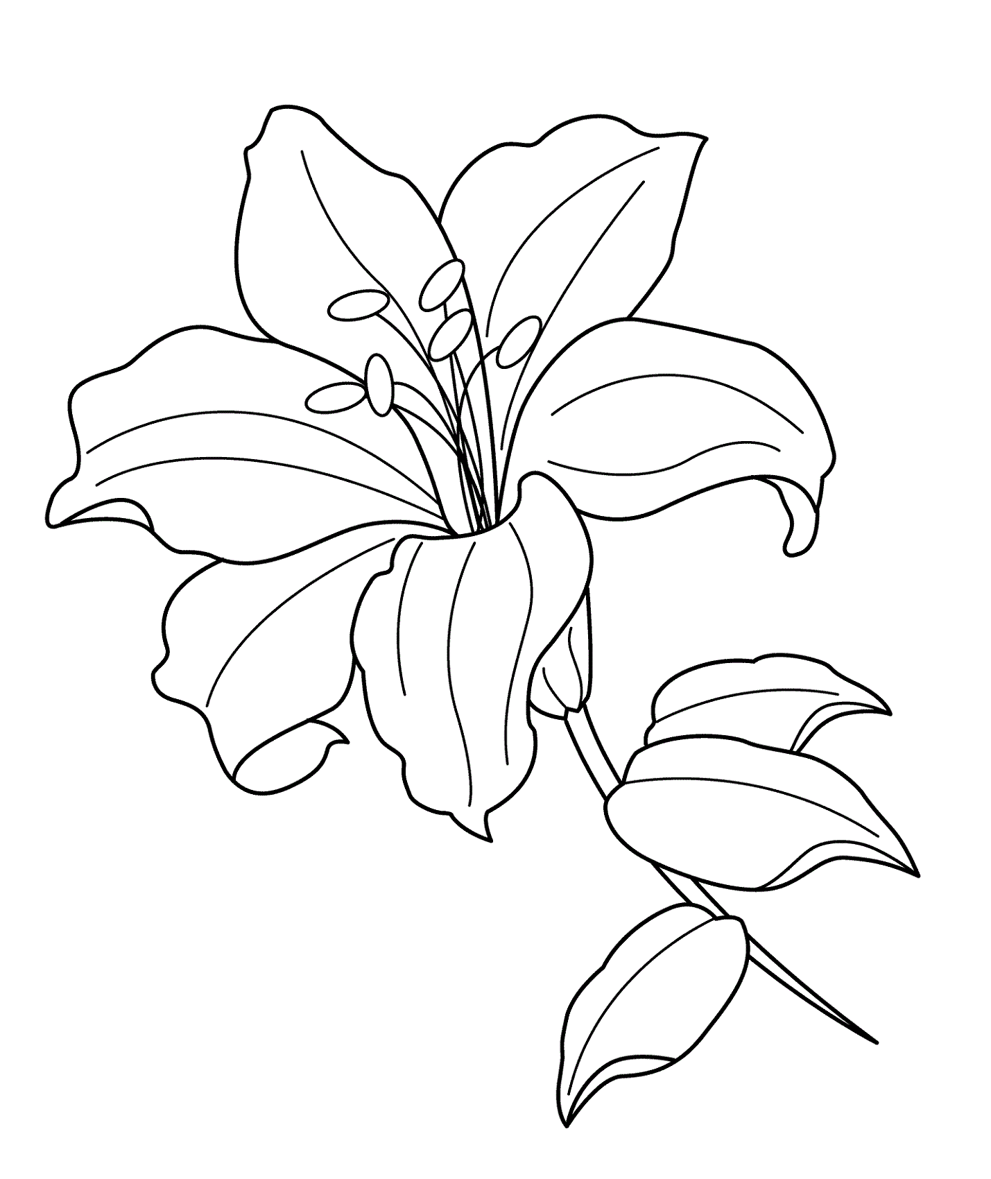 flower coloring pages Lily flower