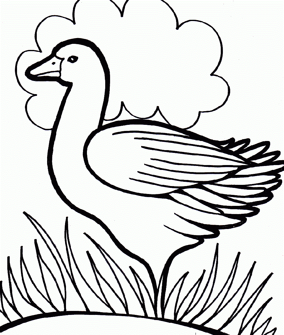 printable coloring pages for kids chicken