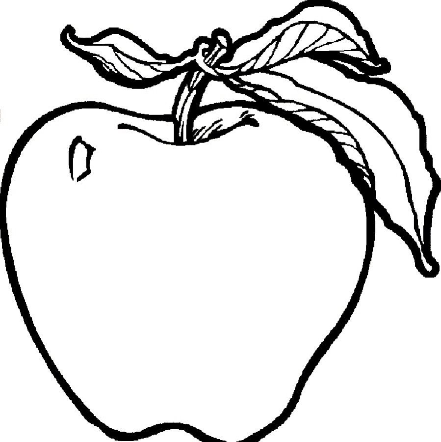 Fruit Coloring Pages For Students Educative Printable