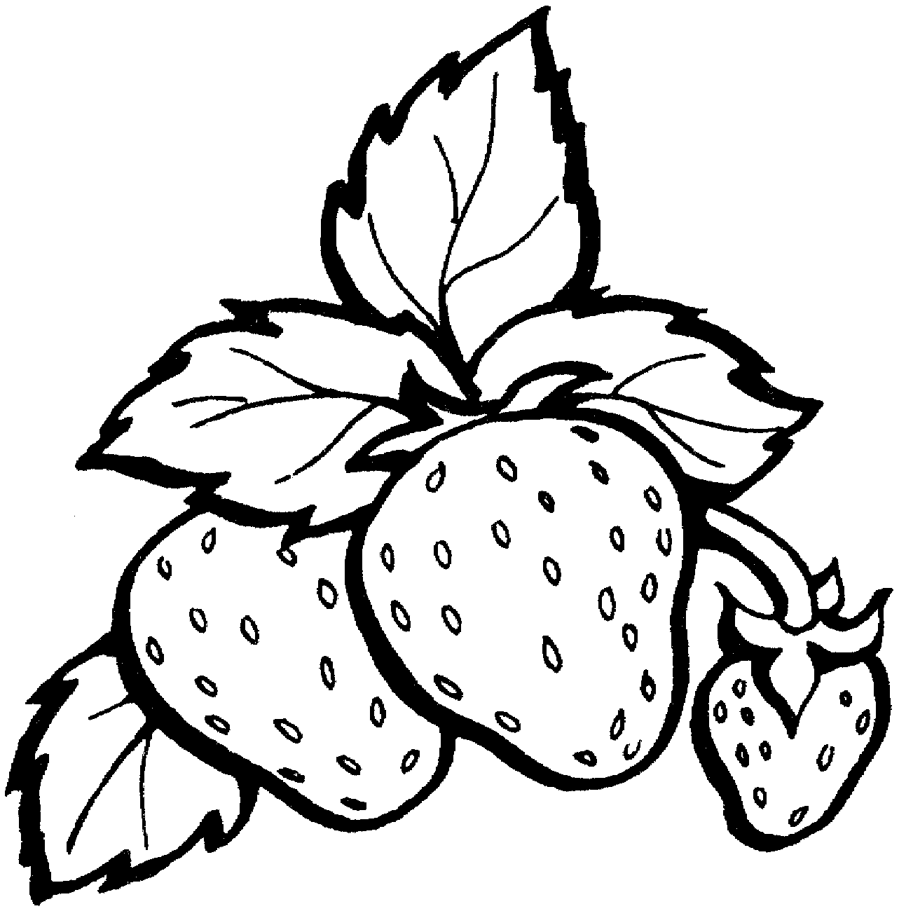 fruit coloring pages strawberry