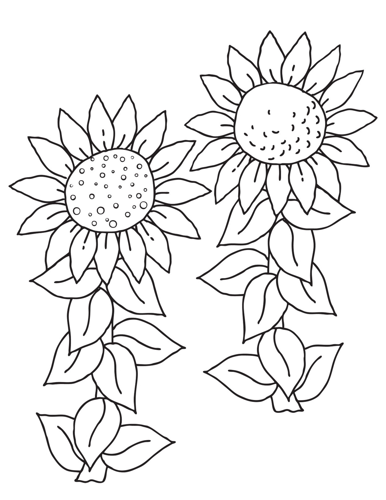 sunflower coloring page 1