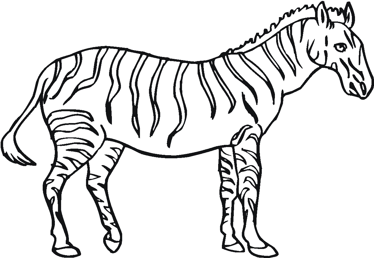 zebra coloring pages 1