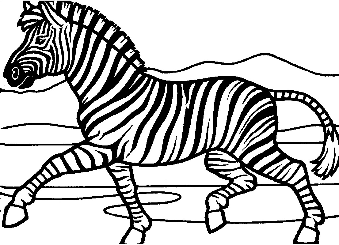 Zebra Coloring Sheet Printable Coloring Pages