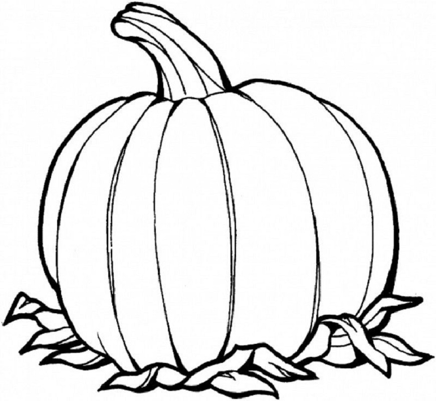 blank pumpkin coloring pages 4