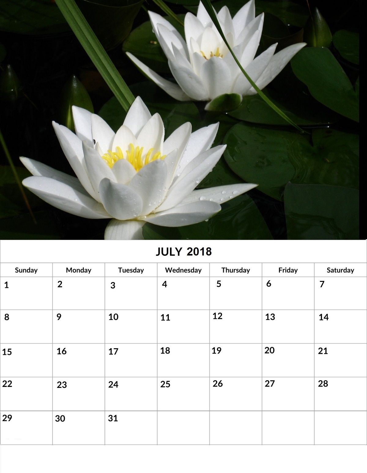 2018 Calendar Print Out For Office Wall