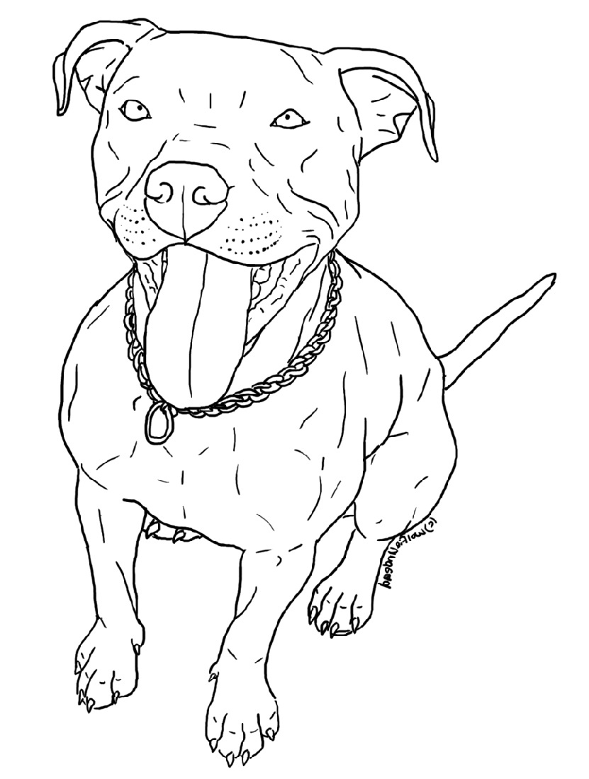 Pitbull Coloring Pages To Print