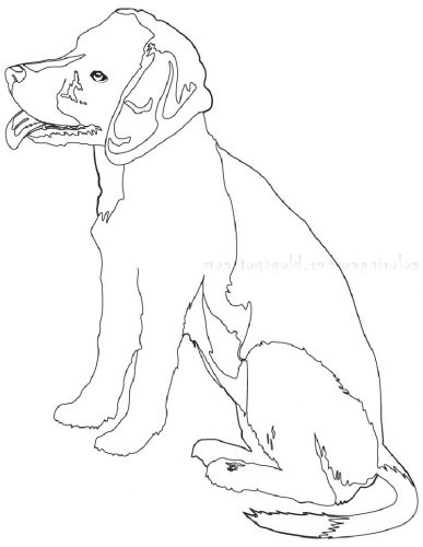 Beagle Coloring Pages | Educative Printable