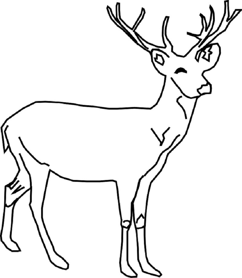 deer coloring pages 5