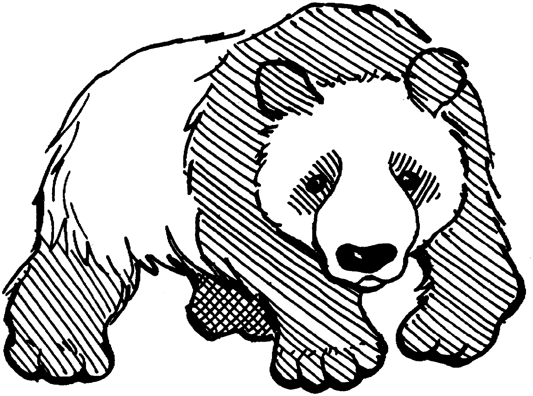 panda coloring pages 3