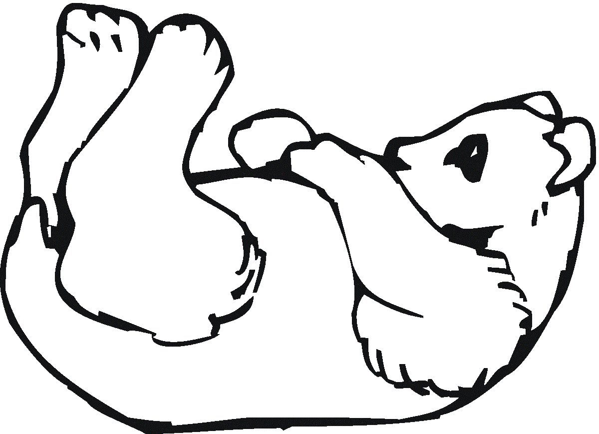 panda coloring pages 5