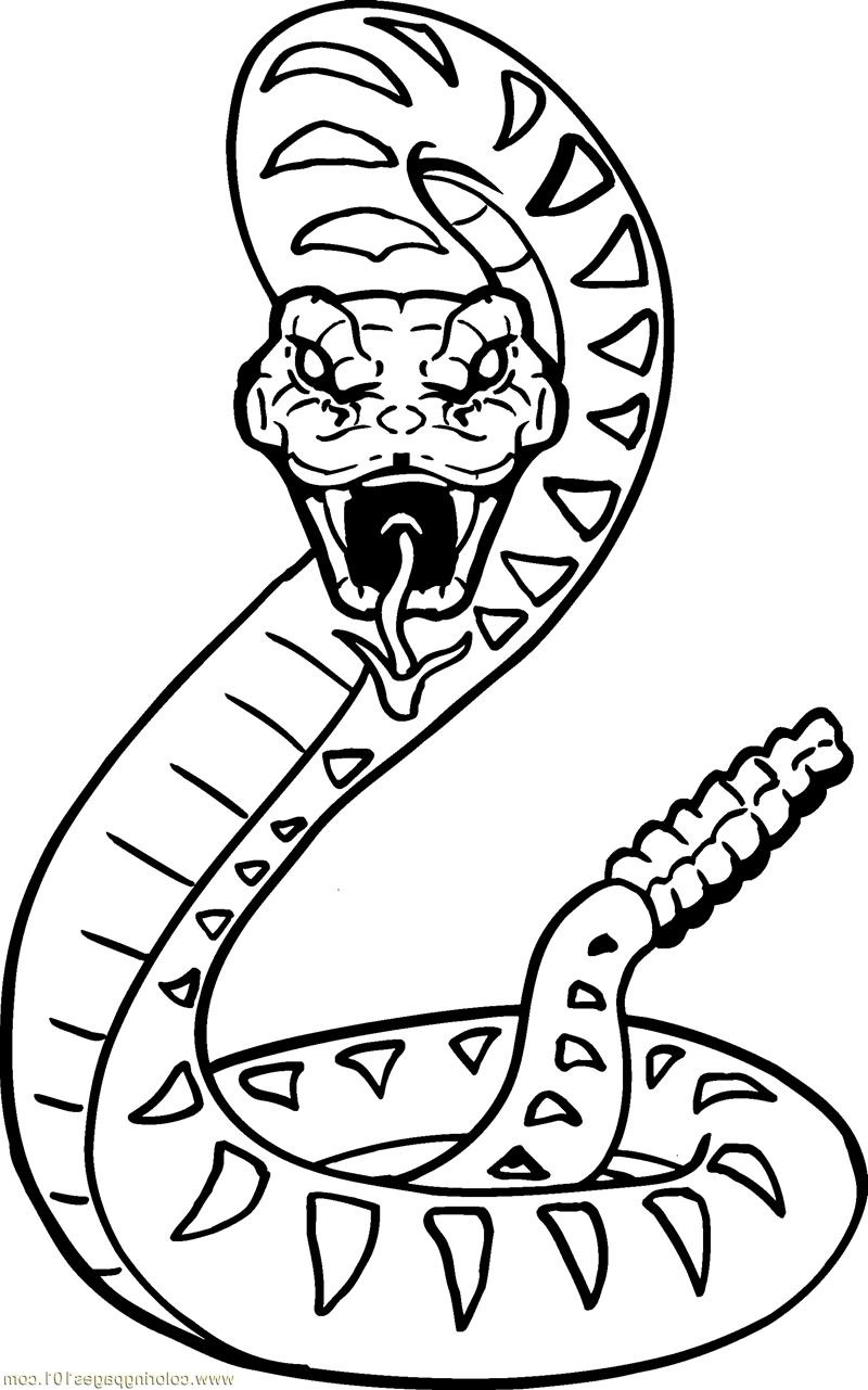 rattlesnake coloring page 1