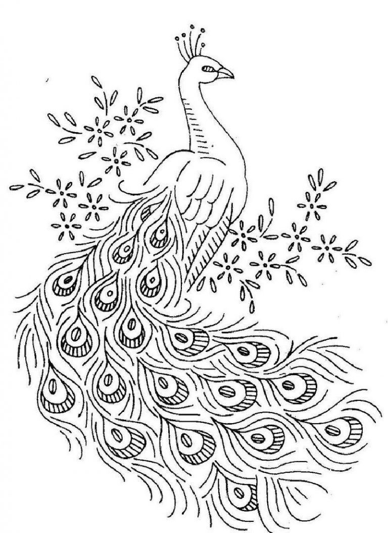 Peacock Coloring Pages for Free Downloadable Educative Printable