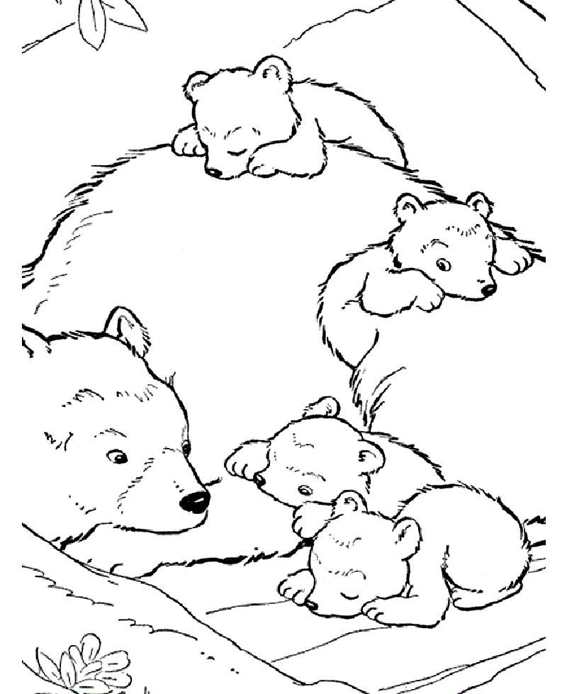 bear coloring pages 1