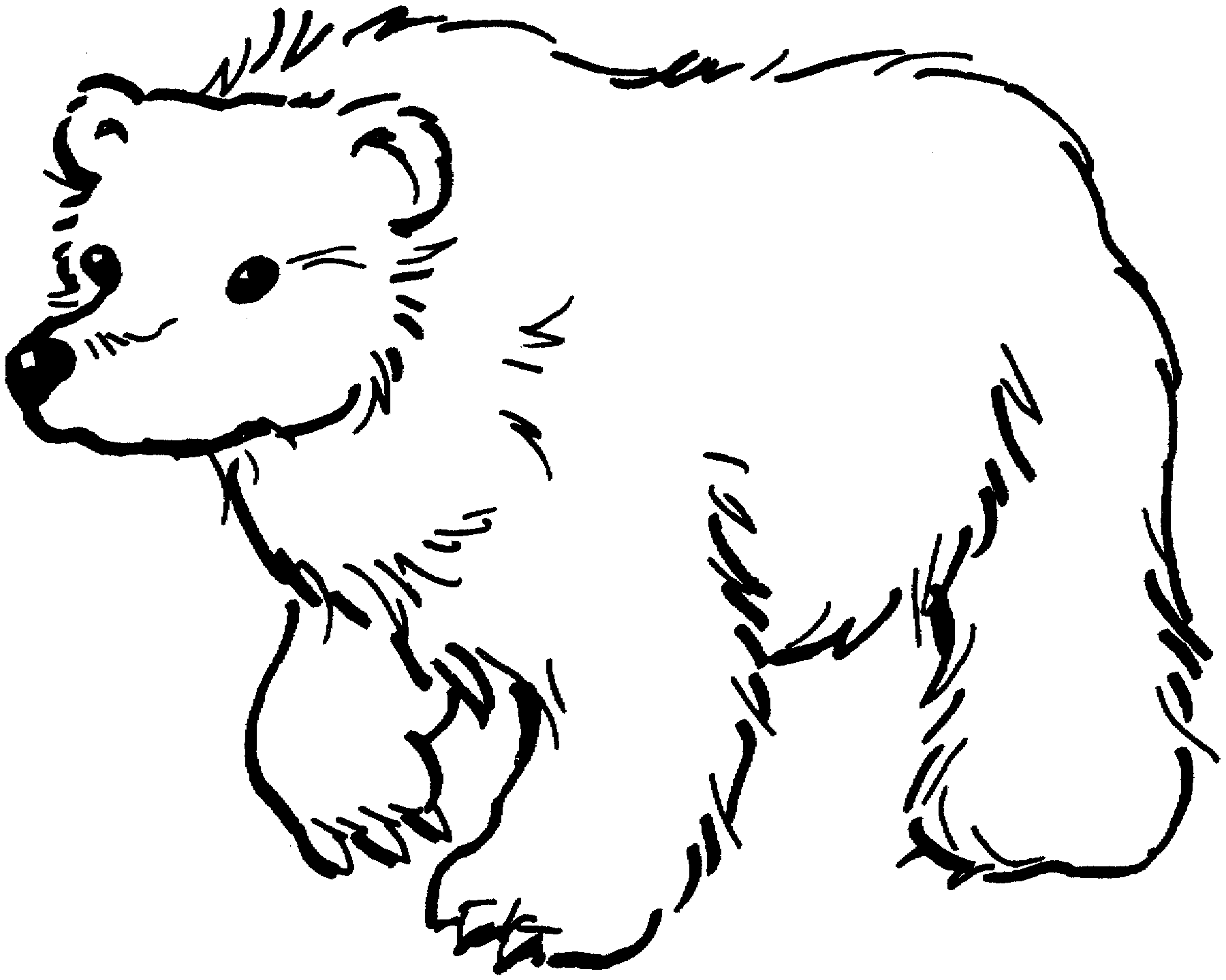 bear coloring pages 3