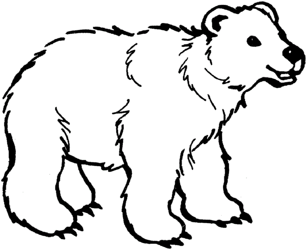 bear coloring pages 4