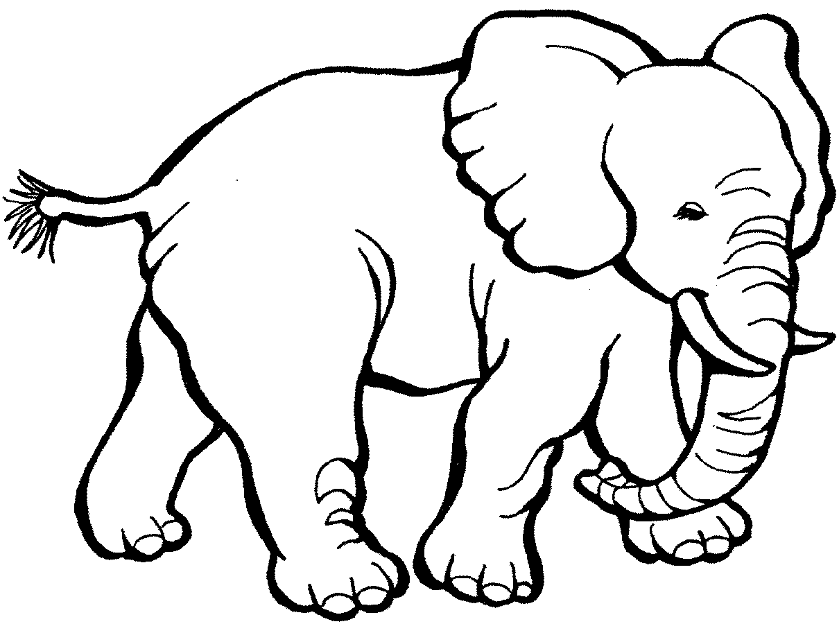 elephant coloring pages 1