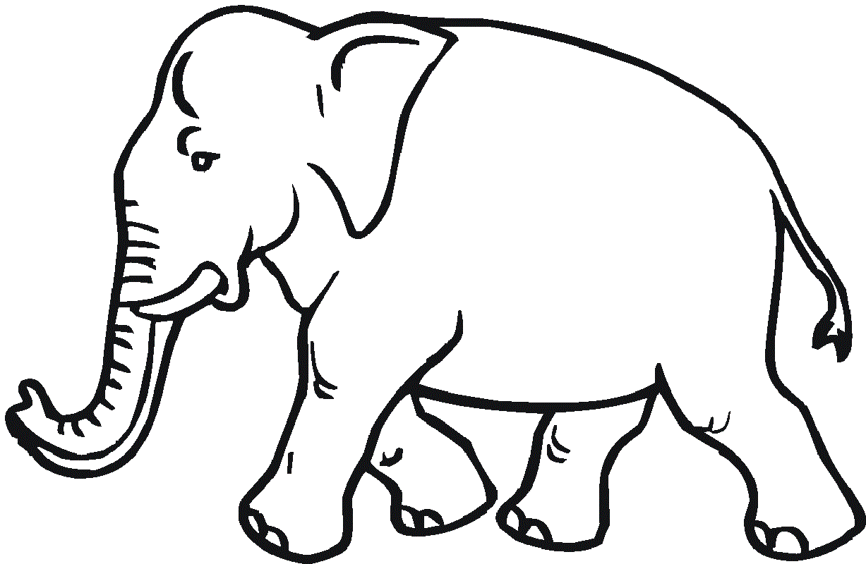 elephant coloring pages 3