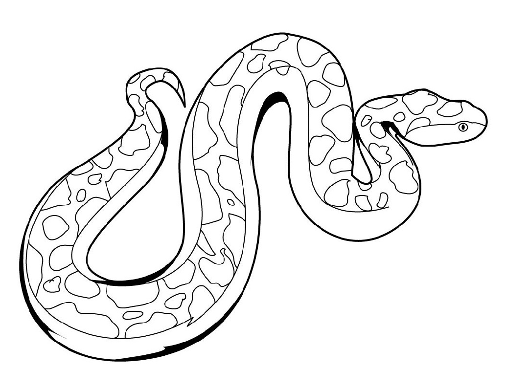 snake coloring pages 2