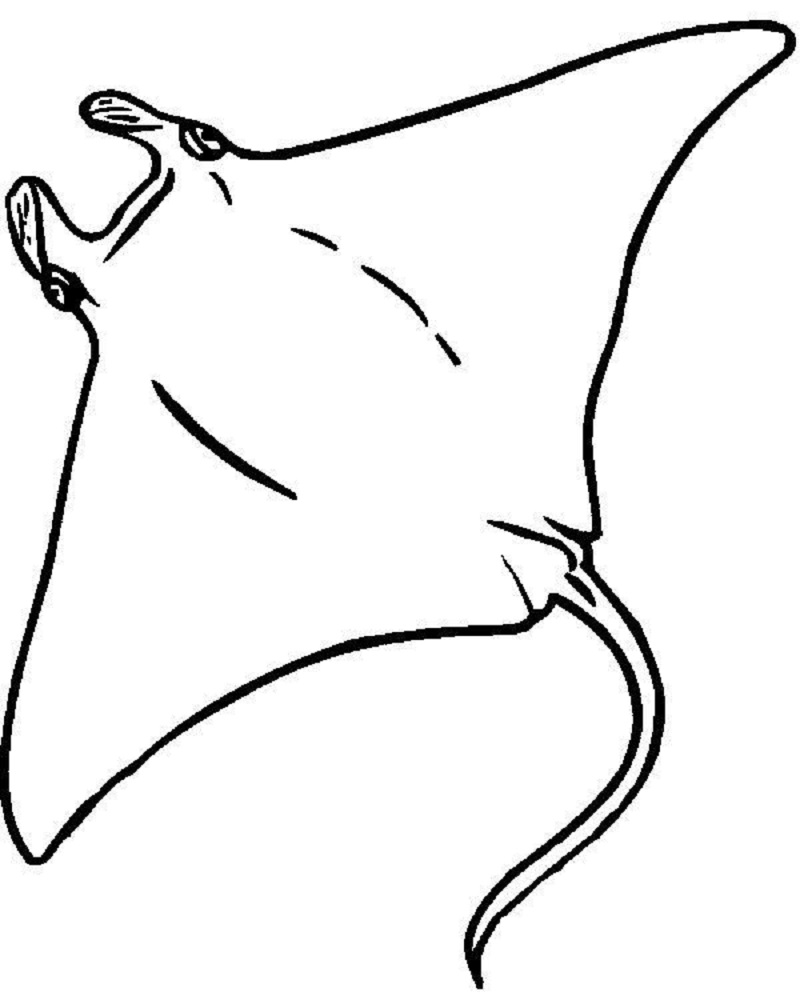 stingray coloring page 1