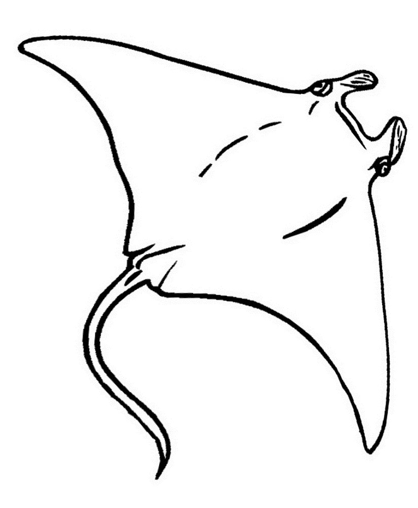 stingray-coloring-page-3