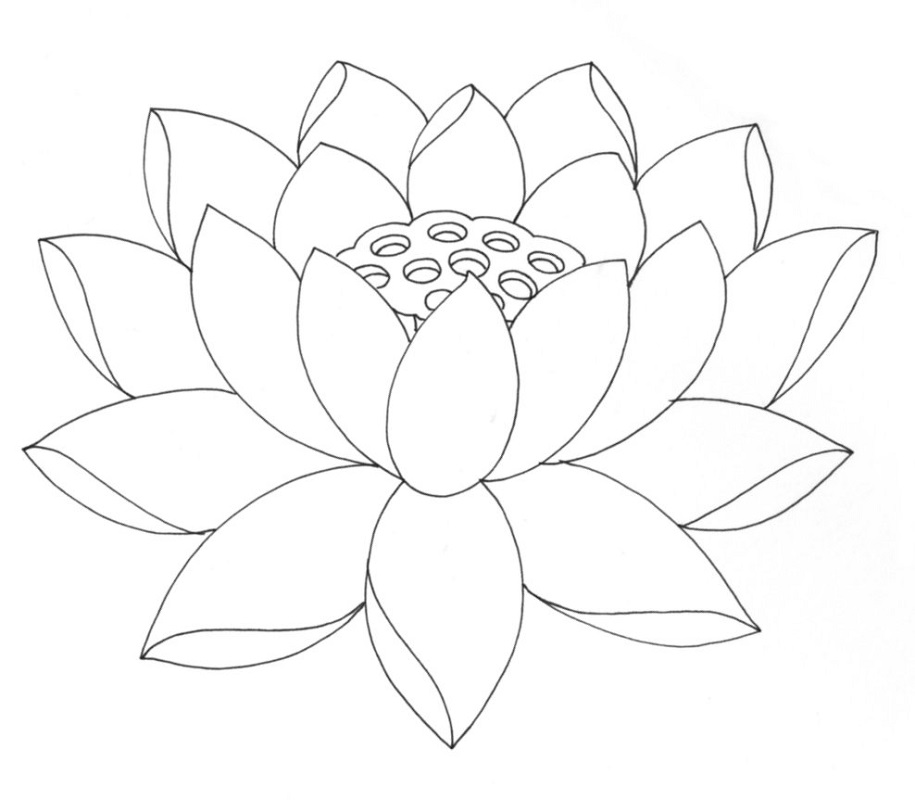 lotus flower coloring page 3