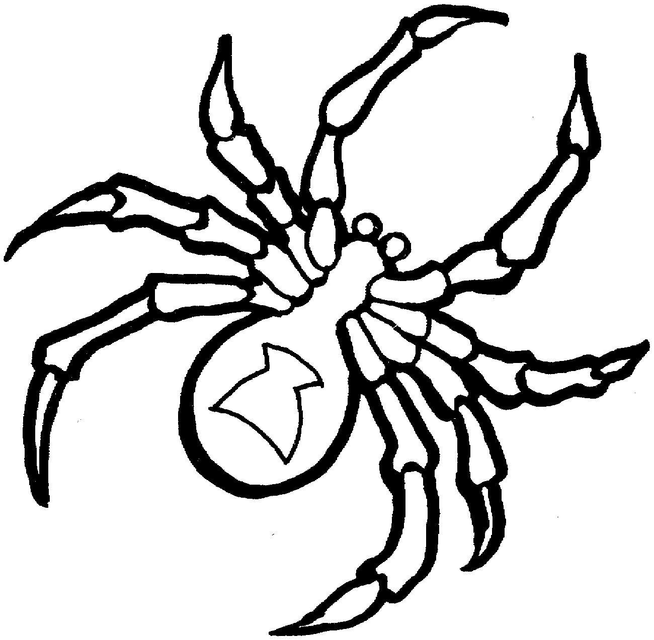 spider coloring pages three