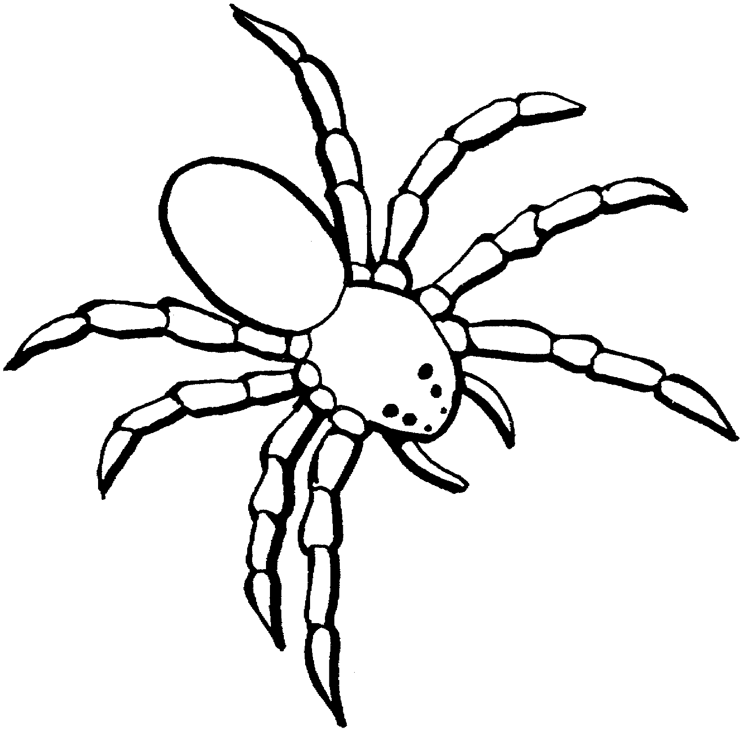 spider coloring pages two