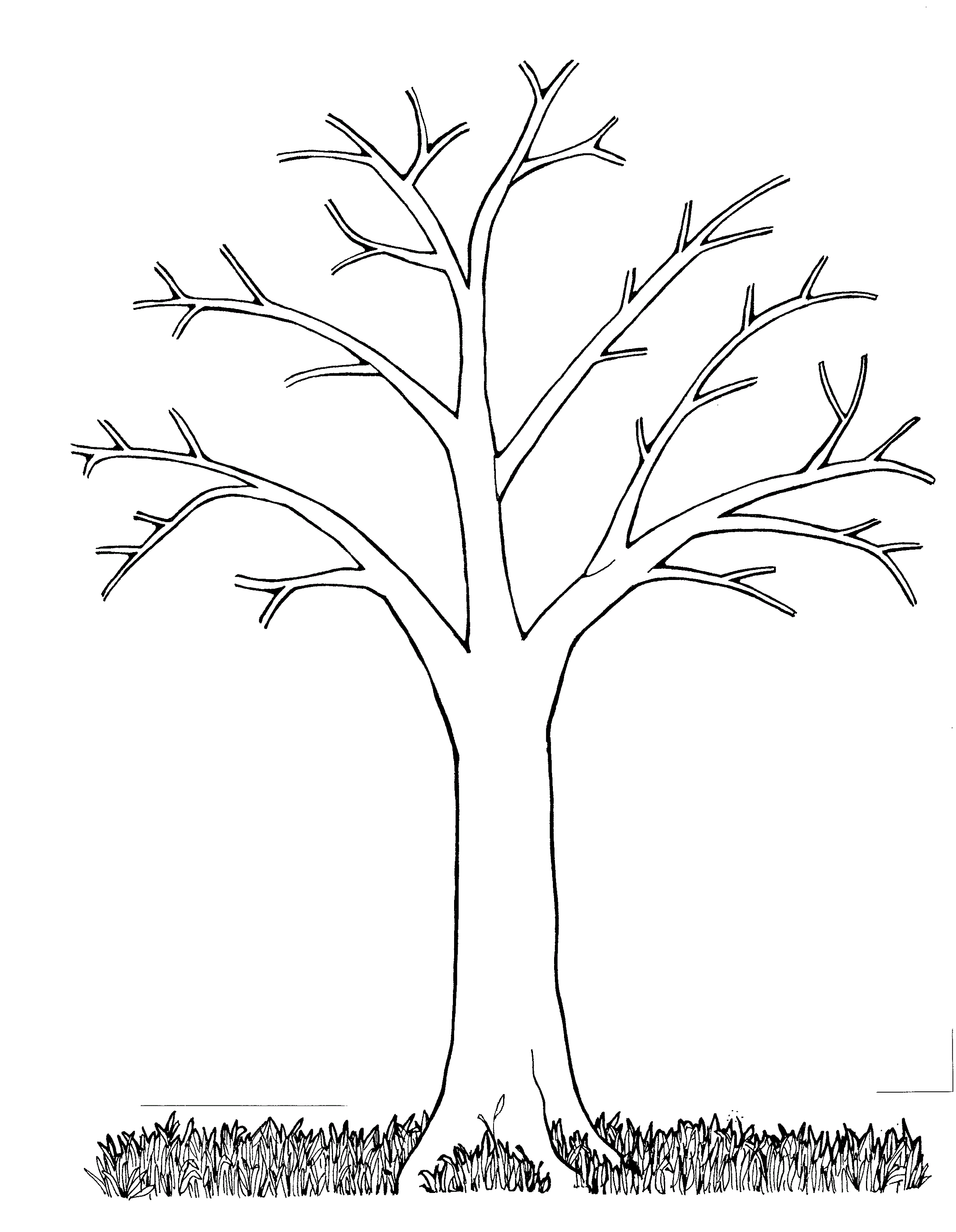 bare tree coloring page 2