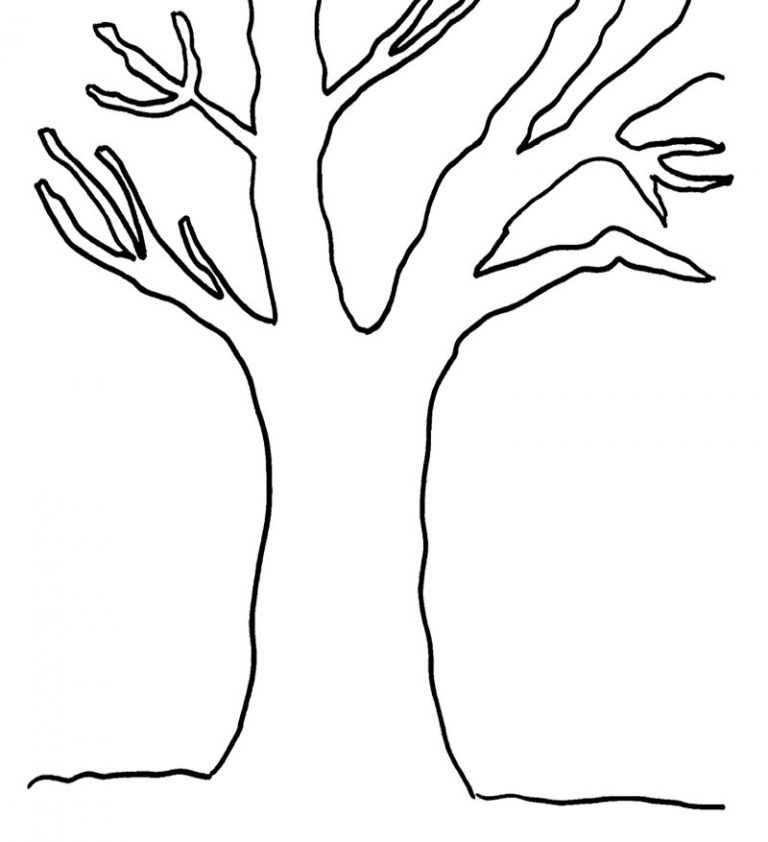 Bare Tree Coloring Page for Media | Educative Printable