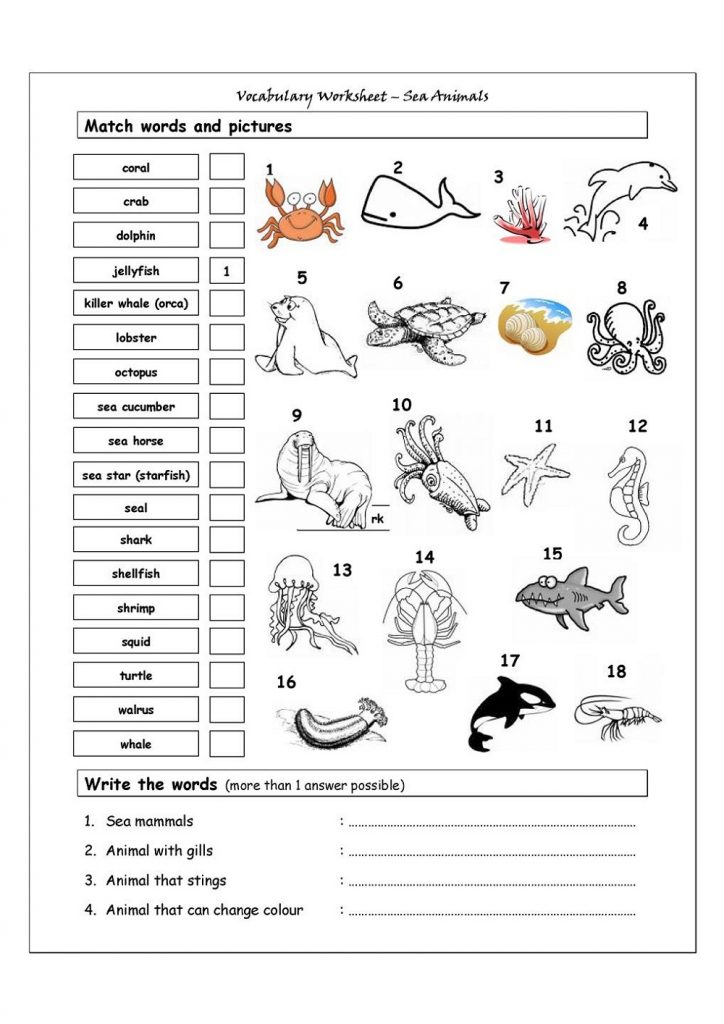 Fun Activity Sheets Pdf