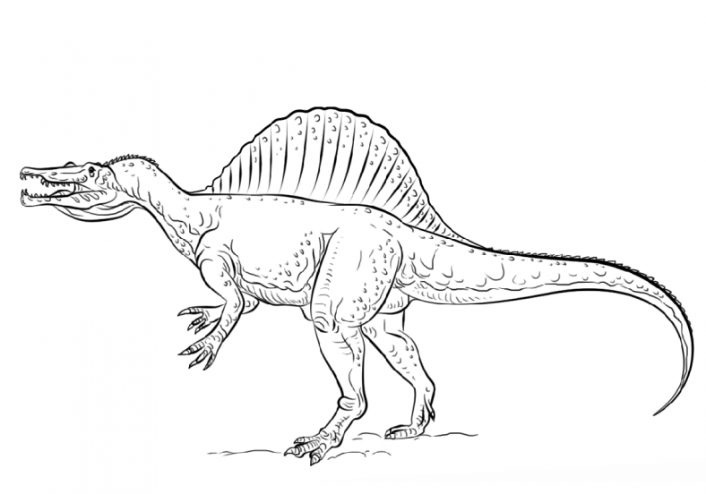 spinosaurus coloring page 2
