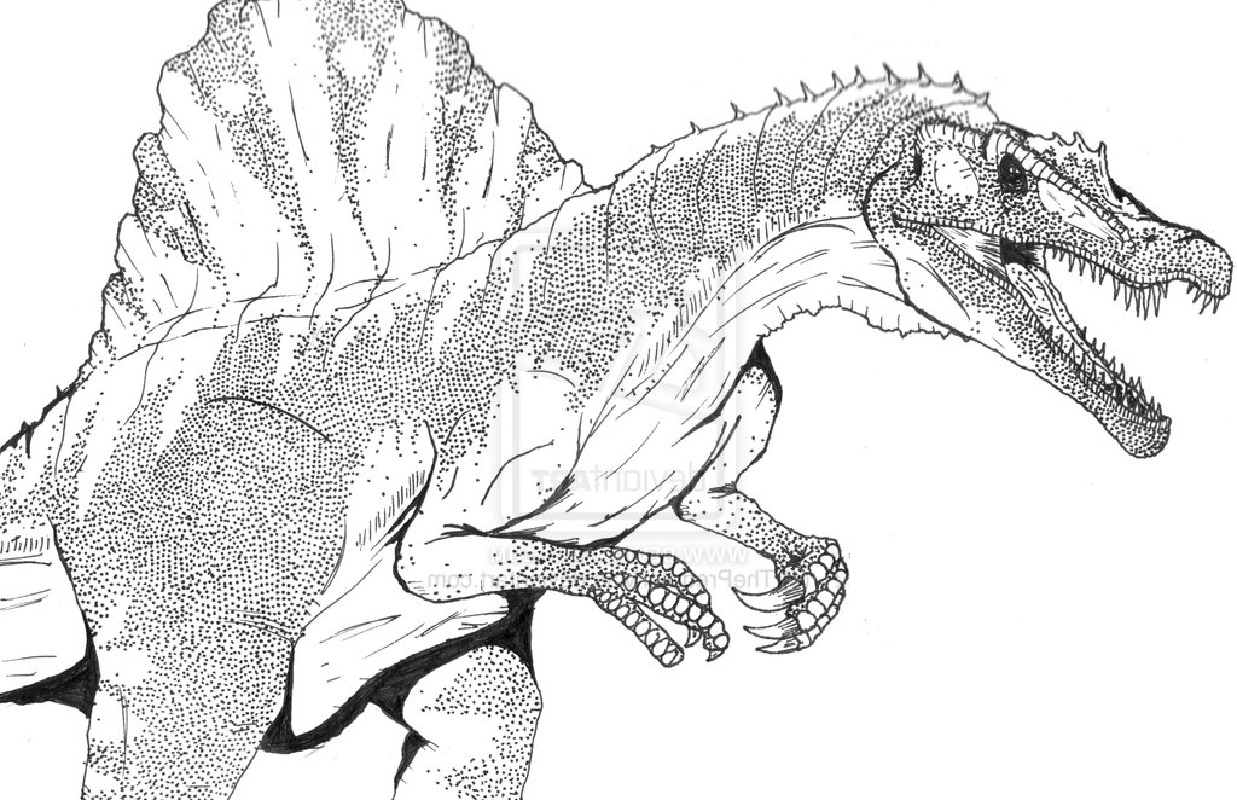 spinosaurus coloring page 5